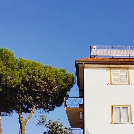 Domus Cedri Apartment Santa Maria Del Cedro Exterior foto